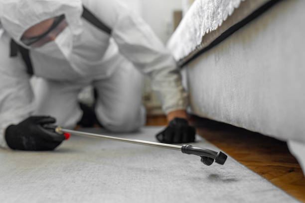 Professional Bed Bug Control technician working in Senoia, GA