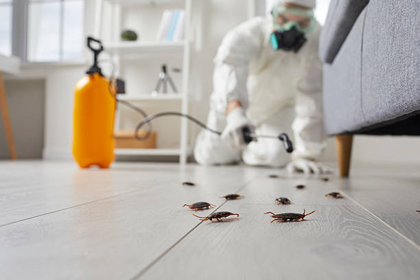 Trusted Termite Control service in Senoia, GA - Nex Pest Control